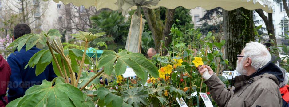 Exposition de plantes rares